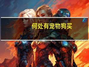 何处有宠物狗买