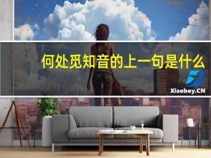 何处觅知音的上一句是什么