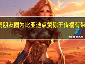 何小鹏朋友圈为比亚迪点赞 称王传福有带头大哥风范