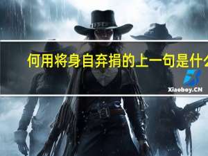 何用将身自弃捐的上一句是什么