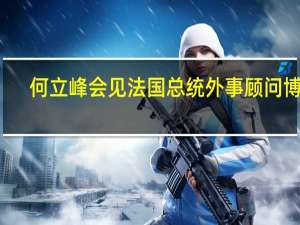 何立峰会见法国总统外事顾问博纳