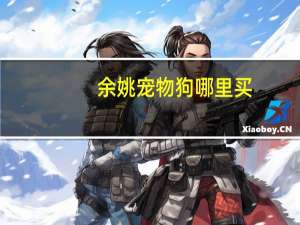 余姚宠物狗哪里买