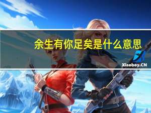 余生有你足矣是什么意思