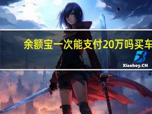 余额宝一次能支付20万吗买车（余额宝一次能支付20万吗）