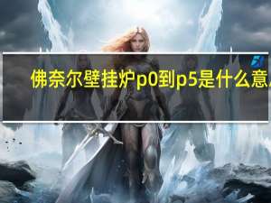 佛奈尔壁挂炉p0到p5是什么意思