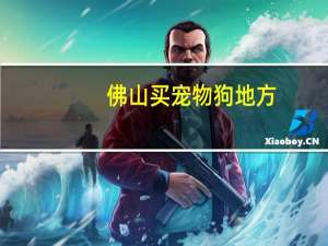 佛山买宠物狗地方