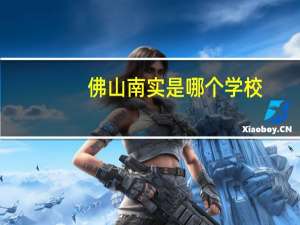 佛山南实是哪个学校