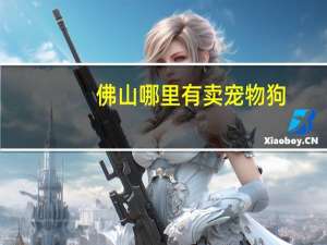 佛山哪里有卖宠物狗