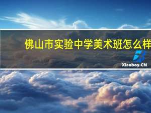 佛山市实验中学美术班怎么样