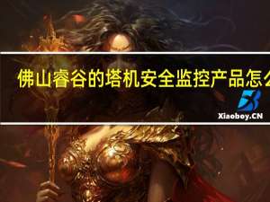 佛山睿谷的塔机安全监控产品怎么样