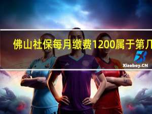 佛山社保每月缴费1200属于第几档