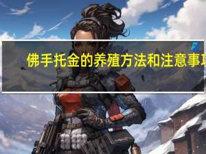 佛手托金的养殖方法和注意事项