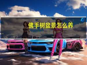 佛手树盆景怎么养