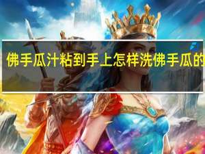 佛手瓜汁粘到手上怎样洗 佛手瓜的简介