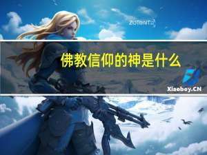佛教信仰的神是什么