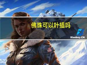 佛珠可以叶插吗