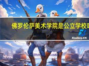 佛罗伦萨美术学院是公立学校吗