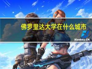 佛罗里达大学在什么城市