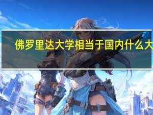 佛罗里达大学相当于国内什么大学