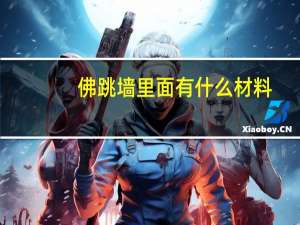 佛跳墙里面有什么材料