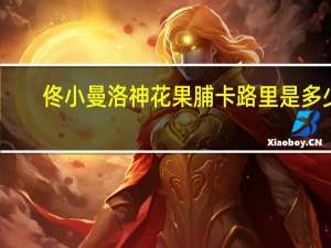 佟小曼 洛神花果脯卡路里是多少