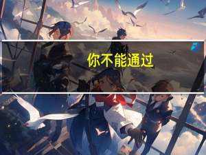 你不能通过