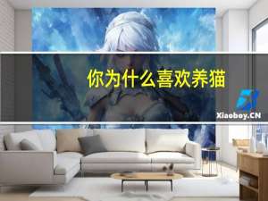 你为什么喜欢养猫