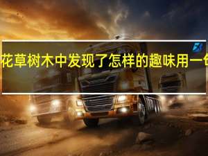 你从花草树木中发现了怎样的趣味用一句话写一写
