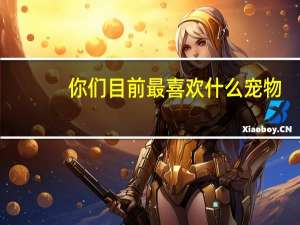 你们目前最喜欢什么宠物
