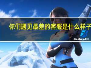 你们遇见最差的客服是什么样子的