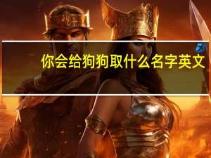你会给狗狗取什么名字英文