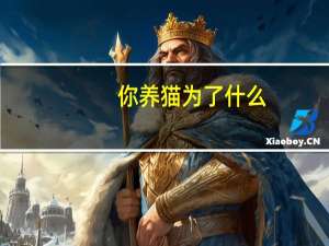你养猫为了什么