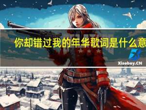 你却错过我的年华歌词是什么意思（你却错过我的年华）