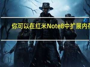 你可以在红米 Note 8 中扩展内存