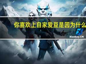 你喜欢上自家爱豆是因为什么