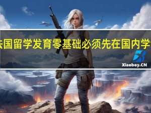 你好 我现在大四了想去法国留学 发育零基础 必须先在国内学够500学时 大约2月底到六月底