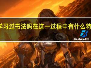 你学习过书法吗 在这一过程中有什么特别的感受