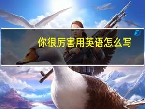 你很厉害用英语怎么写