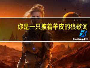 你是一只披着羊皮的狼歌词（披着羊皮的狼歌词）