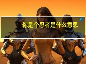 你是个忍者是什么意思