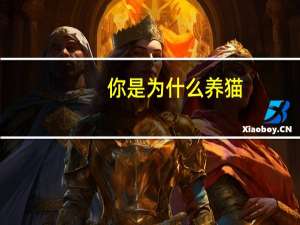 你是为什么养猫