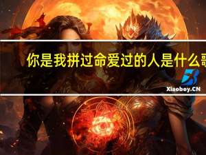 你是我拼过命爱过的人是什么歌