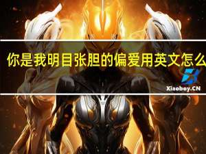 你是我明目张胆的偏爱用英文怎么表达？