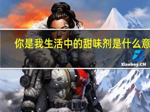 你是我生活中的甜味剂是什么意思