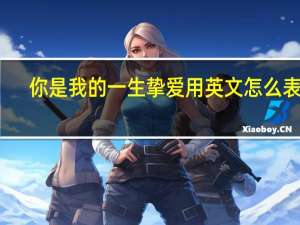 你是我的一生挚爱用英文怎么表达？