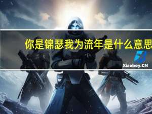 你是锦瑟我为流年是什么意思