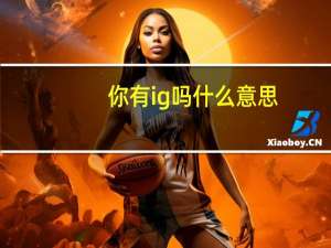 你有ig吗什么意思