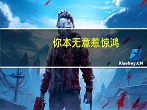 你本无意惹惊鸿，奈何人家惊于鸿。