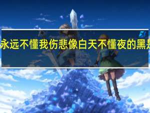 你永远不懂我伤悲像白天不懂夜的黑是什么歌