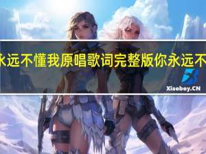 你永远不懂我原唱歌词完整版 你永远不懂我伤悲